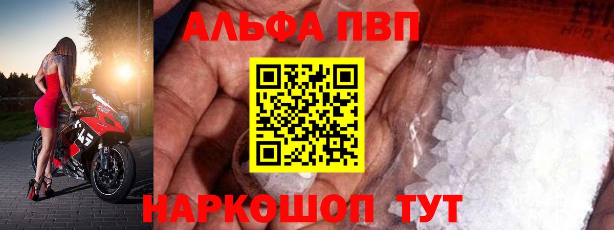 Альфа ПВП СК Кемерово