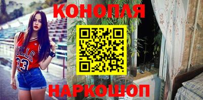 круглые Владимир