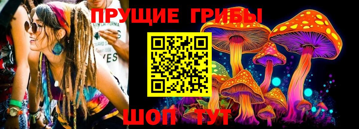 Галлюциногенные грибы Magic Shrooms Кемерово